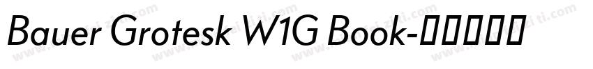 Bauer Grotesk W1G Book字体转换